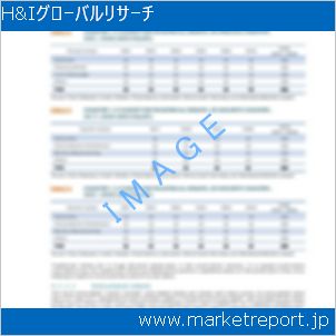 市場と産業調査レポートのイメージ